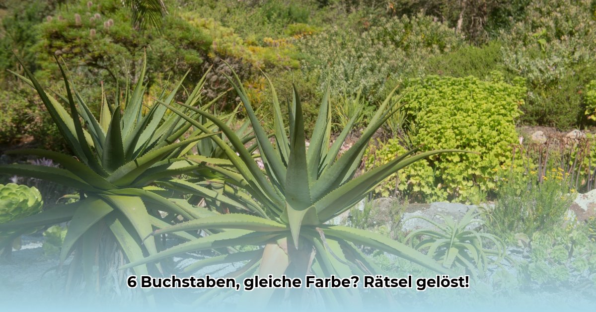 plant-in-dezelfde-kleur-6-letters